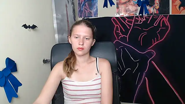 StellaCRL webcam