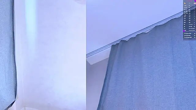 EvaaLane webcam