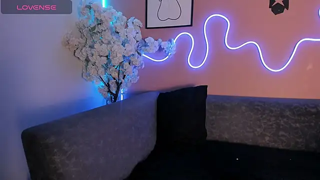 karo_linee1 webcam