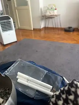 Sikici710000 webcam