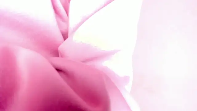 Stefannyevans_ webcam