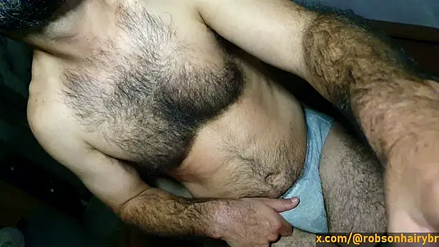 robsonbr webcam