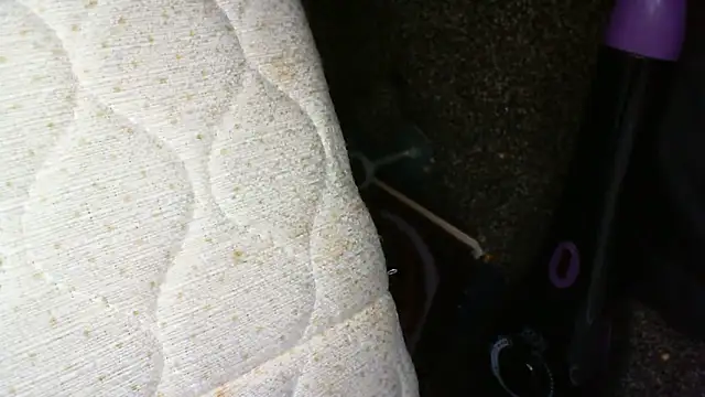 Deepsounding8585