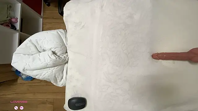 SunriseGuys webcam