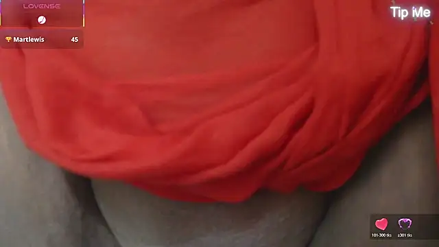 punemodel