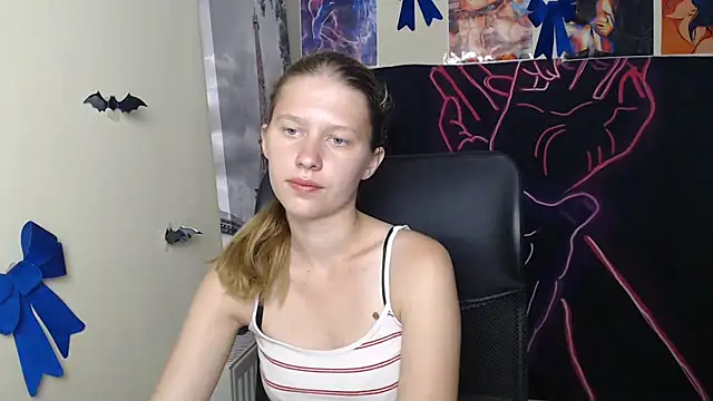 StellaCRL webcam