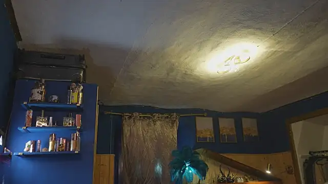VanessaDoyle webcam