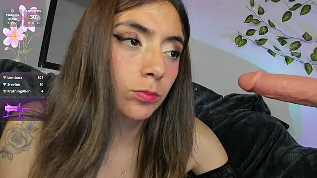 luumanson webcam
