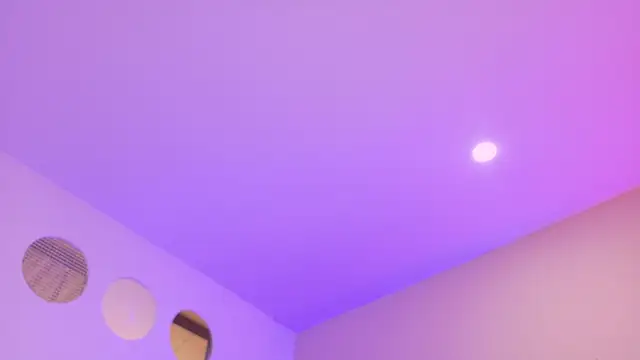Nascary_Fox webcam