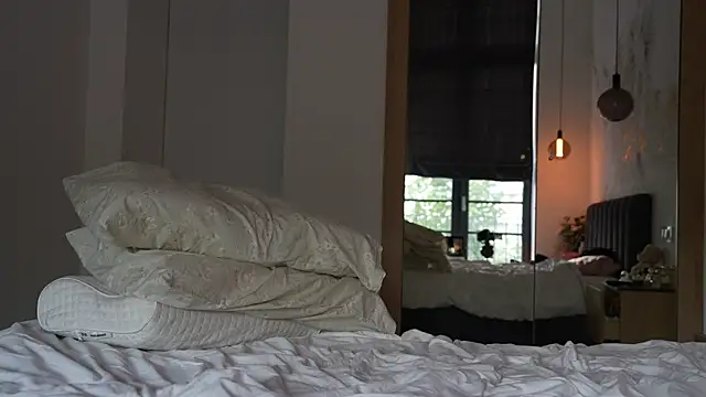 ibiddi webcam