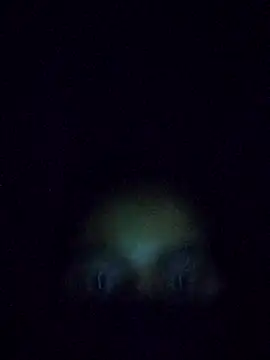 YOURBHABI143 webcam