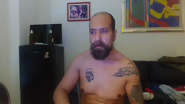AMIRDIB2025 webcam