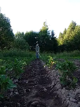 _uncle_Mitya-43_ webcam