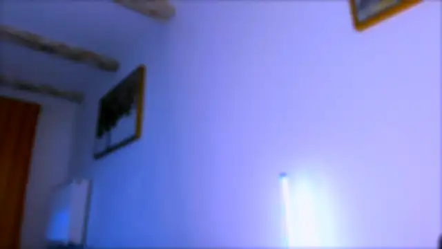 Moonamour