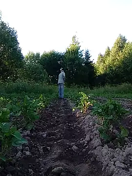 _uncle_Mitya-43_ webcam