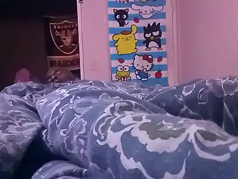 Blkstylion webcam