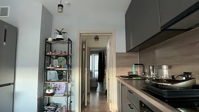 jainesummer webcam