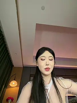 AYW-21 webcam