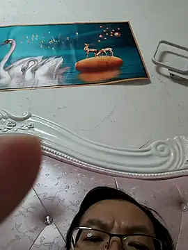 GG-0021 webcam