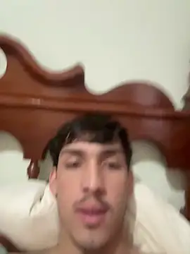 Dilofauro's live cam