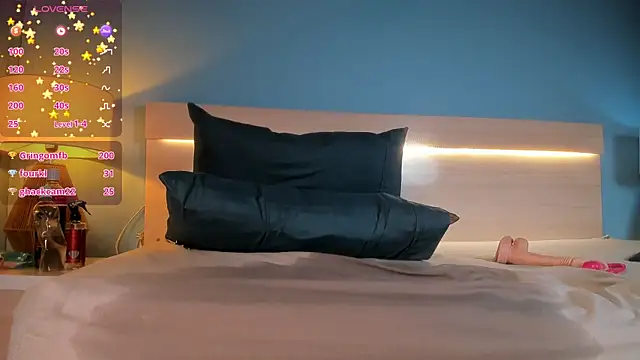 startwerk webcam