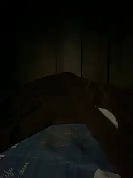 bi_kute9x webcam