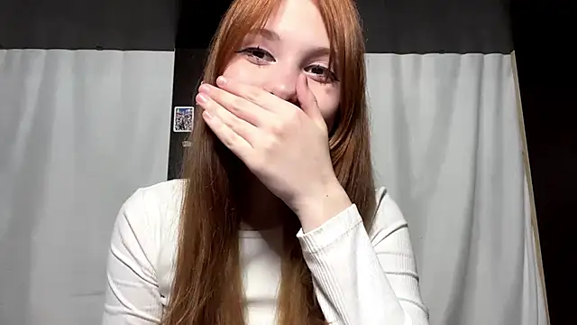 LittleEres webcam