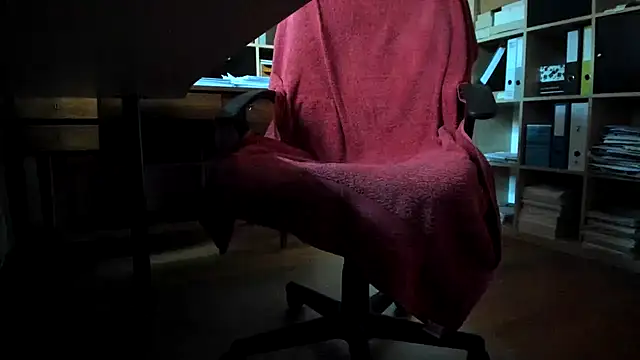 leccaleccafiga webcam