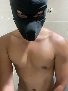 haogymdog avatar