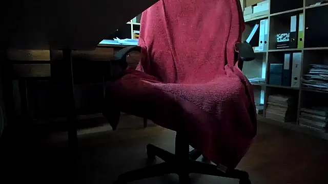 leccaleccafiga webcam