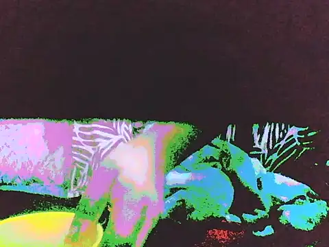 DripDiva