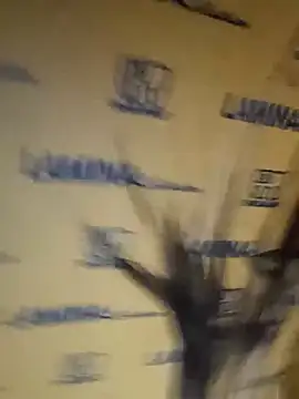 kostaspowder webcam