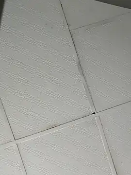 PIGHIGHDIRTY_p0