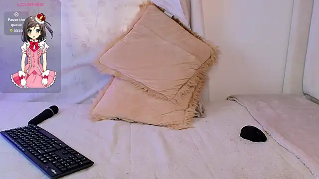 Mhia_palmer webcam
