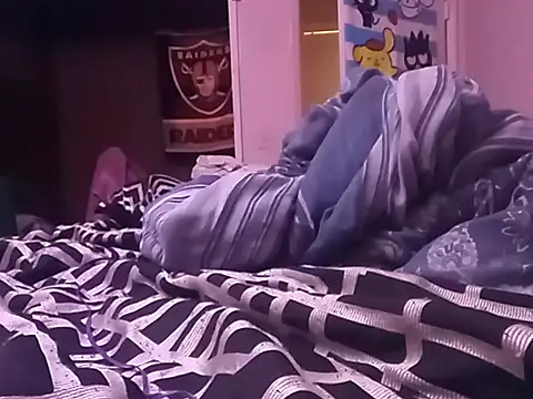 Blkstylion webcam