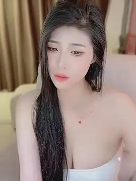 Vaidurya-Yolo webcam