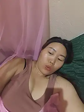 he-se-kin webcam