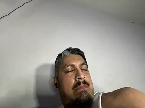 Vision1285 webcam