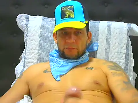 altenori webcam