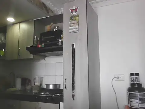 Diego_Nova webcam