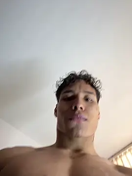 NelModel1 webcam