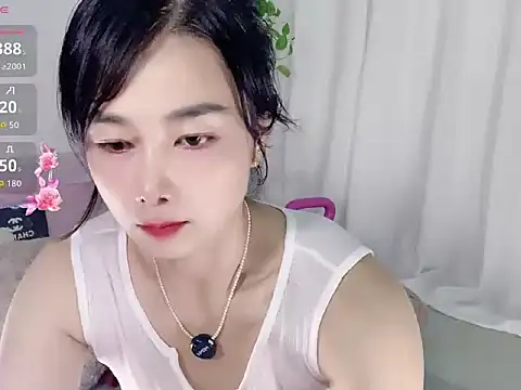 Happy365_ webcam