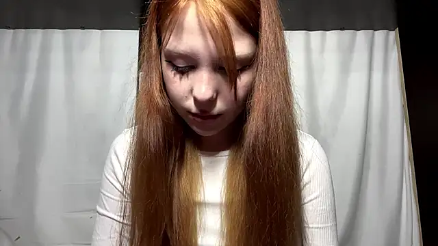 LittleEres webcam