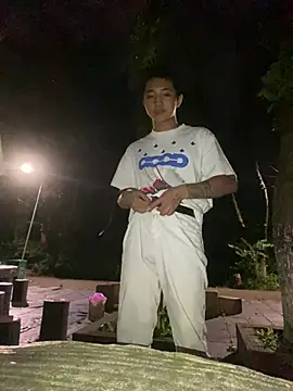 cyj860 webcam