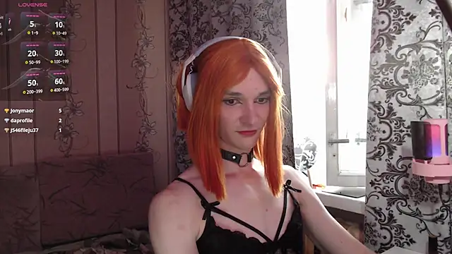 kisasuka webcam