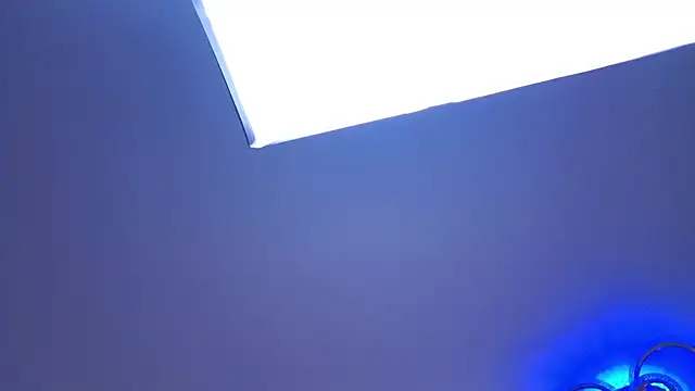 PerryKitty webcam