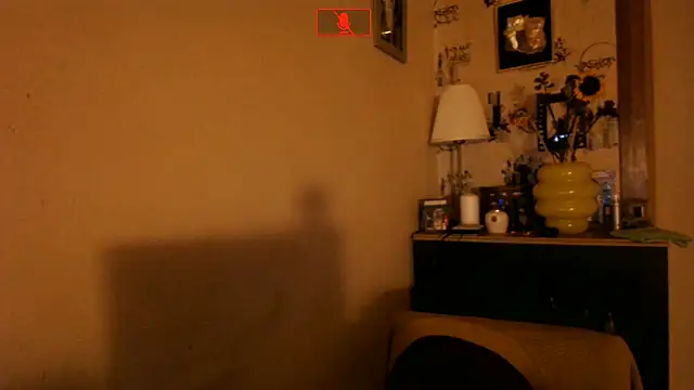 Hgay6935 webcam