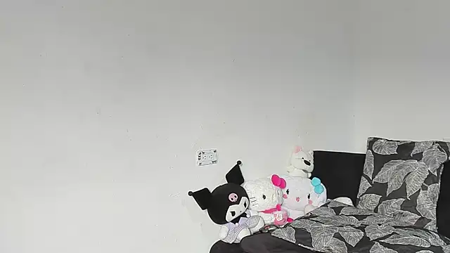 Eirlysx webcam