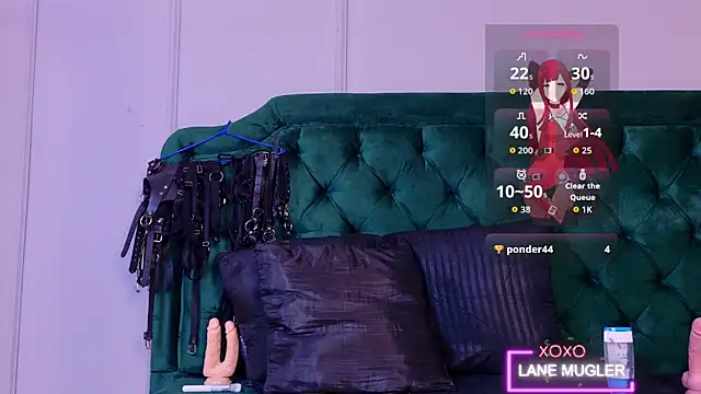 lanemugler webcam
