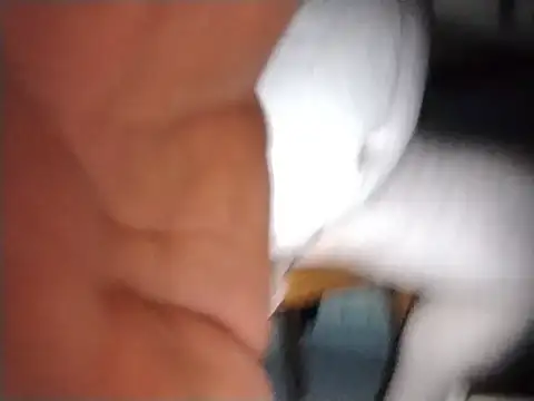 gordinhocachondo webcam